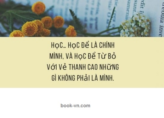 58+ Những câu nói hay về học tập giúp bạn có động lực - Book Vietnam